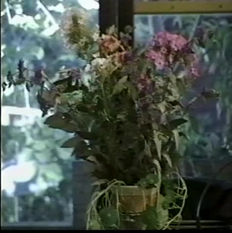 Thumbnail image for BSK - Herb Garden Pt. 2