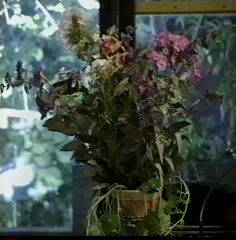 Thumbnail image for BSK - Spring Veggies